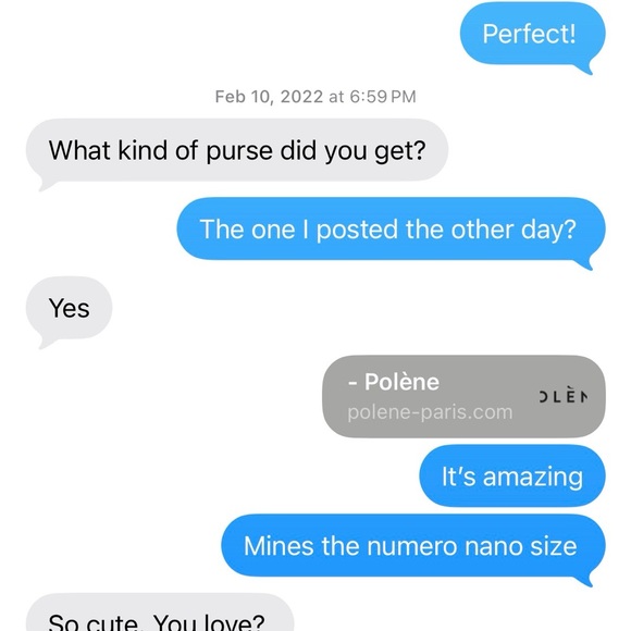 Polene Black Crossbody Bag - Picture 9 of 9